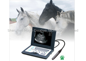 Chine Système diagnostique ultrasonique de Digital de scanner vétérinaire d'ultrason de l'ordinateur portable CLS5800 complètement fournisseur