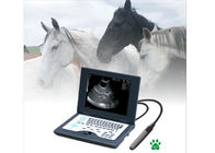 Chine Système diagnostique ultrasonique de Digital de scanner vétérinaire d&#039;ultrason de l&#039;ordinateur portable CLS5800 complètement usine