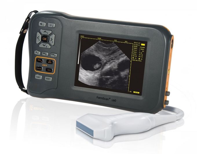 Scanner vétérinaire L60 d'ultrason d'affichage monochrome avec 32 voies numériques