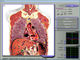 analyseur de composition en corps de santé de 3d NLS, analyseur de globule sanguin fournisseur